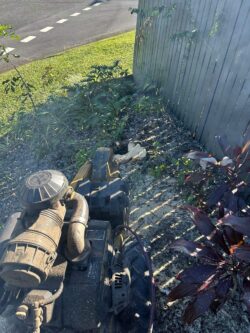 Stump Grinding Brisbane