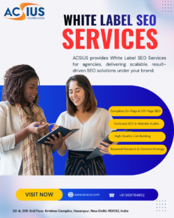 Best White Label SEO Services Provider