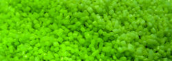 Desiccant Powder