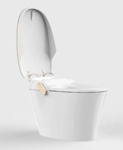 Anna Smart Toilet for Modern Bathrooms