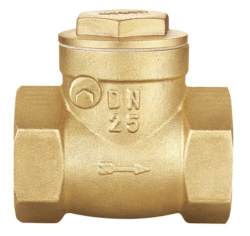 Swing Check Valve Producer Lines Stop Backflow Cold
