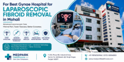 Best Gynae Hospital for Laparoscopic Fibroid Removal in Mohali