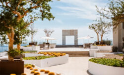 Cabo San Lucas Destination Wedding Packages: Your Complete Guide to a Dream Beach Wedding