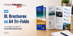 DL Brochures vs A4 Tri-Folds Which Is Best