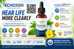 EchoXen