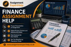 Professional Finance Assignment Help for Students
