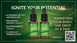 FlashBrn: Smart Daily Wellness Support