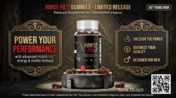 Horse Fill – Premium Equine Care & Daily Support