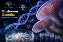 Mushroom Genetics – DNA and Fungi