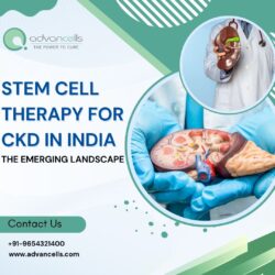 Stem Cell Therapy for CKD in India: The Emerging Landscape