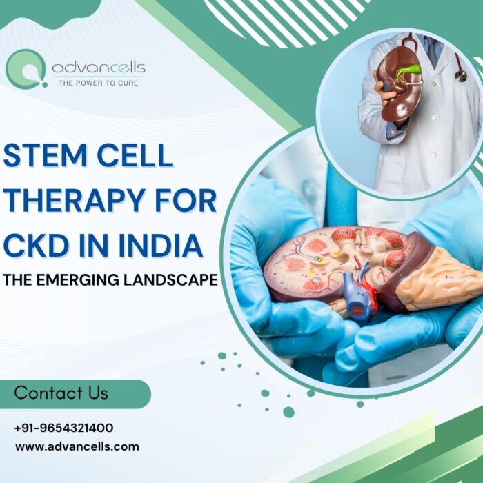 Stem Cell Therapy for CKD in India: The Emerging Landscape