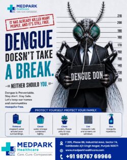 Dengue Prevention Starts With Awareness