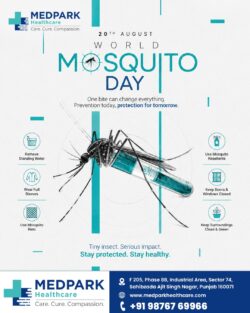 World Mosquito Day | Simple Ways to Prevent Mosquito Bites