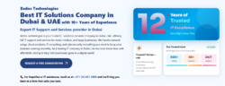 IT Solutions Company In UAE