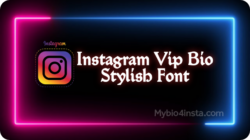 instagram bio style