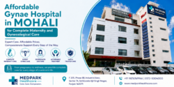 MedPark Affordable Gynae Hospital in Mohali
