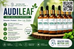 AudiLeaf
