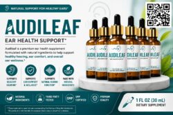 AudiLeaf