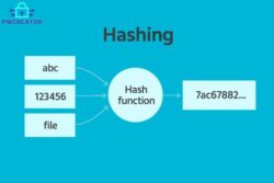 What Is a Hash Function and Why Is It Important?