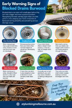 Early Warning Signs of Blocked Drains Burwood