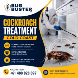 Cockroach Treatment Gold Coast – Effective Solutions for a Pest-Free Property