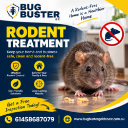 Rodent Treatment – Effective Solutions for Safe & Rodent-Free Properties