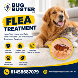 Flea Treatment Gold Coast – Effective Solutions for a Flea-Free Property