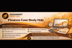 Finance Case Study Help for Financial Analysis