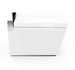 Victoria One-Piece Ceramic Smart Toilet