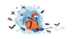Reliable Pest Control in Brisbane & Sunshine Coast