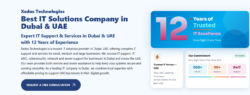 IT Support Services Dubai