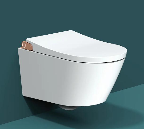 Wall-Hung Toilet with In-Wall Cistern