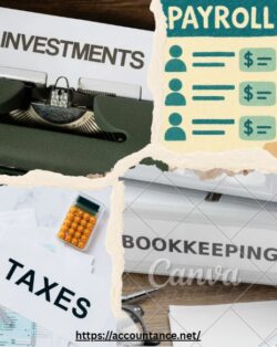 The Accountance helps the growing businesses to utilize their resources in an aggressive way.