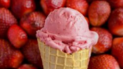 Launch Your Bombay Creamery dealership With Full Support