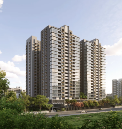 Top Real Estate Developer in Ahmedabad – Palak Group