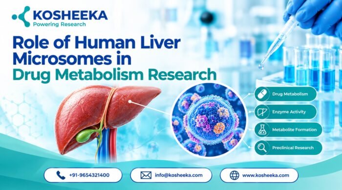 Role of Human Liver Microsomes in Drug Metabolism Research