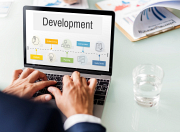 Custom Web Development for Business Requirements