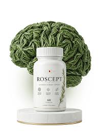 RosCept: Discover Smart Solutions for a Better Future