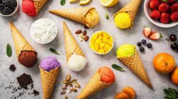 Smart Bombay Creamery distributorship investment For Regional Growth