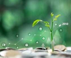 Investment News and Leadership News: What Senior Decision Makers Should Be Reading