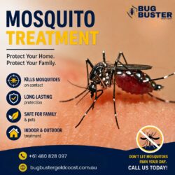 Mosquito Treatment – Effective Mosquito Control for a Safer Environment