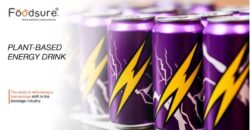 Plant-Based Energy Drink: Formulation, Benefits and Trends