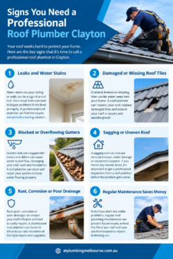 Signs You Need a Professional Roof Plumber Clayton