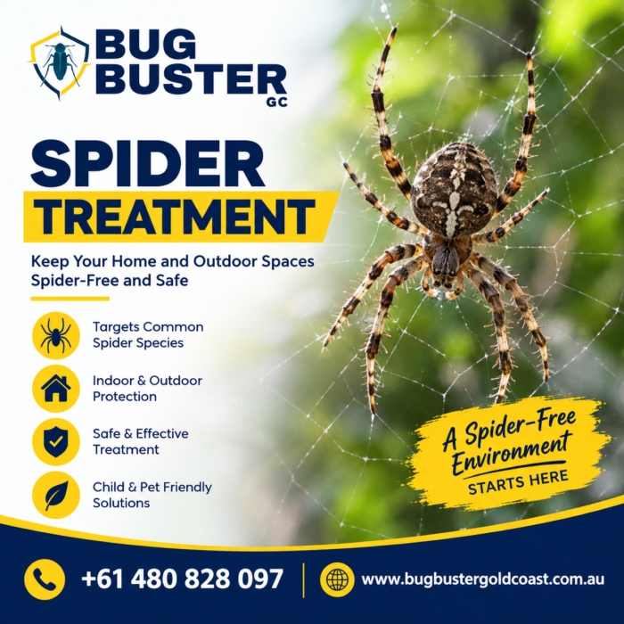 Spider Treatment – Safe & Effective Spider Control for Your Property
