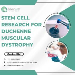 Stem Cell Research for Duchenne Muscular Dystrophy