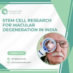 Stem Cell Research for Macular Degeneration in India