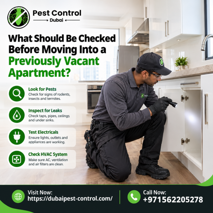 What Should Be Checked Before Moving Into a Previously Vacant Apartment?