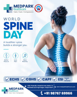 World Spine Day | MedPark Hospital Mohali