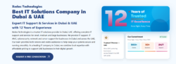 IT Solutions UAE